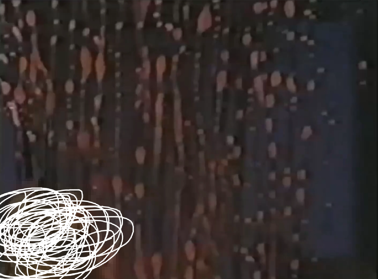 及川邦子：在山上发现骸骨...先已查出系住在**县的14岁少女