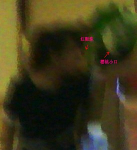 《商场里面灶火生》更新详述