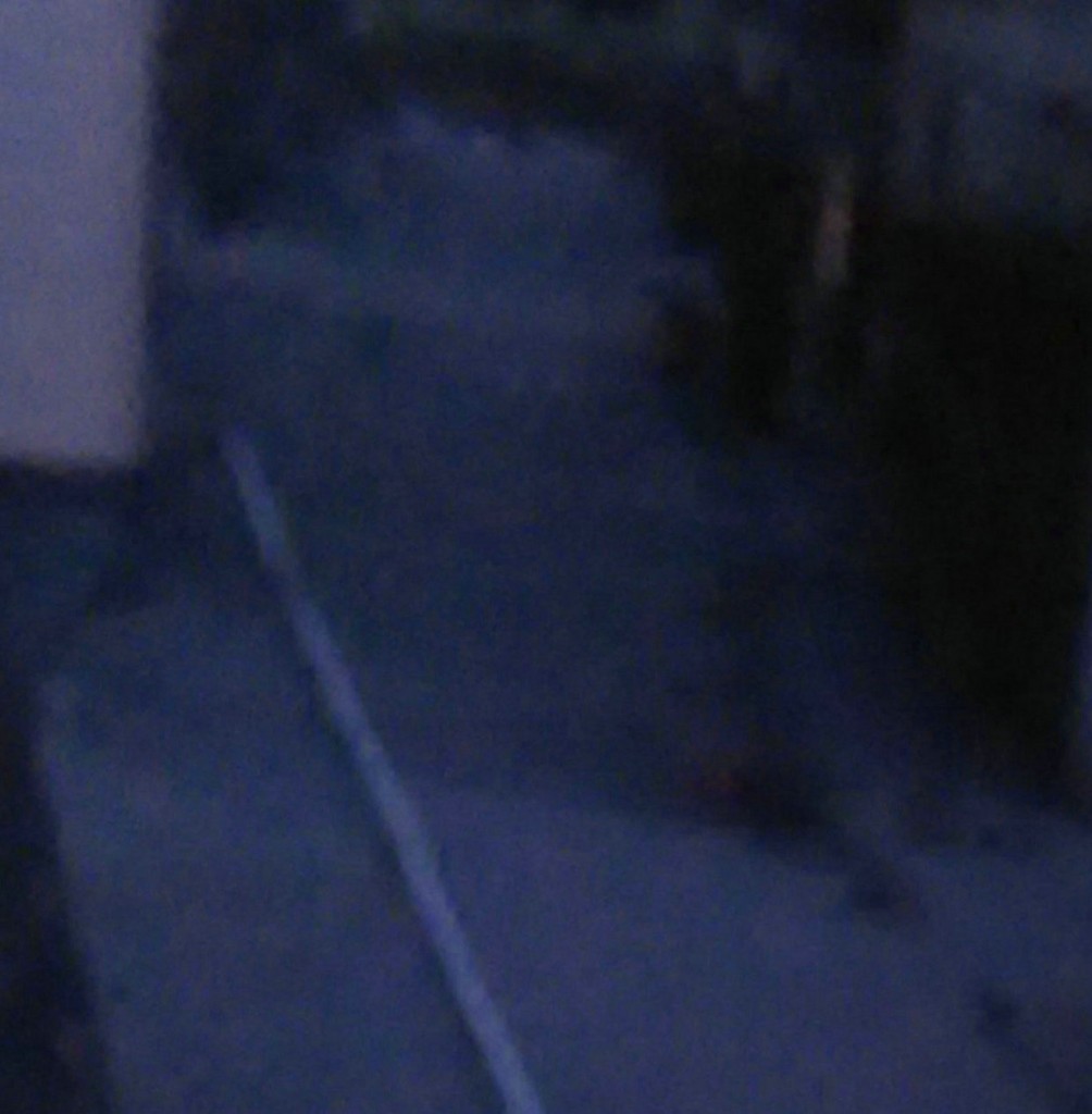 灵异图片:托瓶女