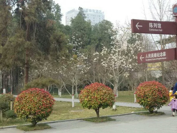 邯郸烈士陵园～同事遛弯的时候随手拍的，树上有个人形阴影，看完慎得慌