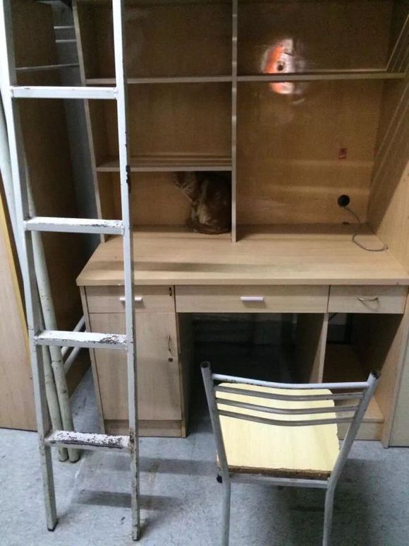 星期五灵异事件，上图