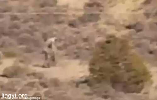 葡萄牙沙漠惊现人形怪物：双手过膝直立行走，穿越沙漠荒地