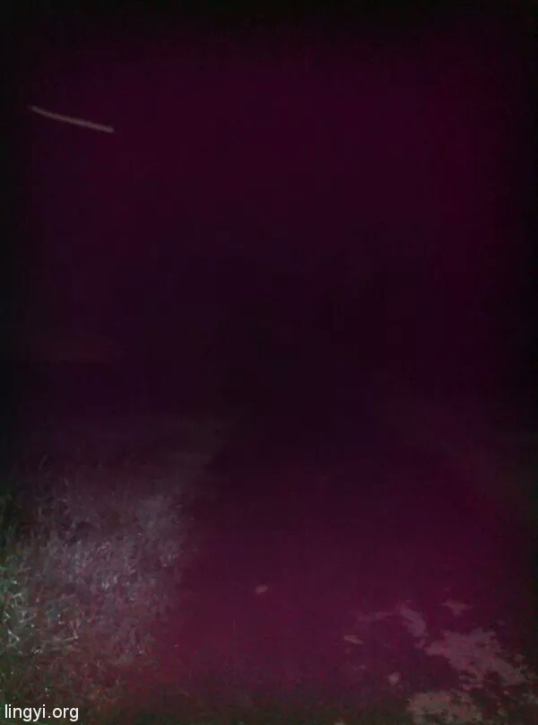 晚上去捉知了幼虫拍到的灵异照片