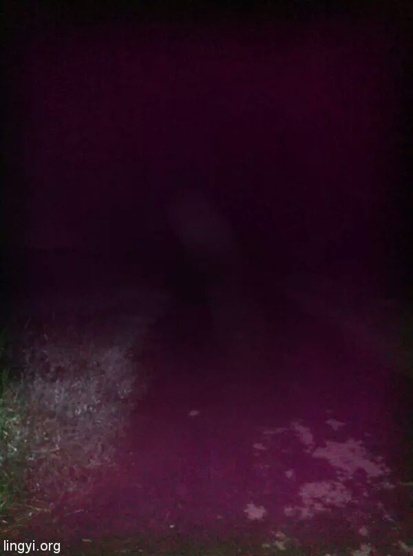晚上去捉知了幼虫拍到的灵异照片