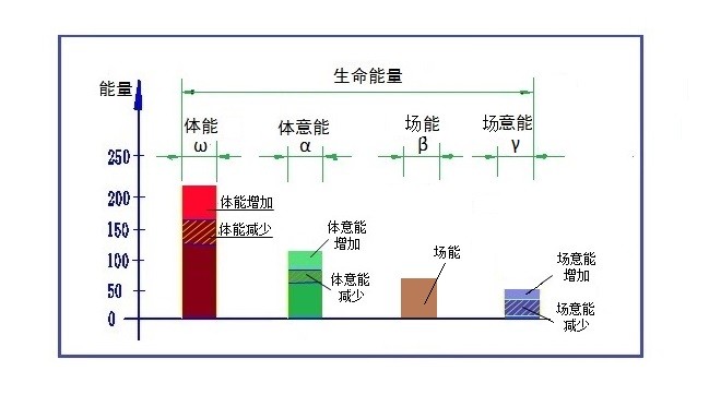 走进场生命世界 第二章 生命能量