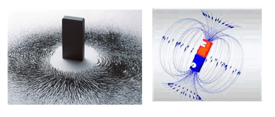 走进场生命世界 第三章 场生命的存在
