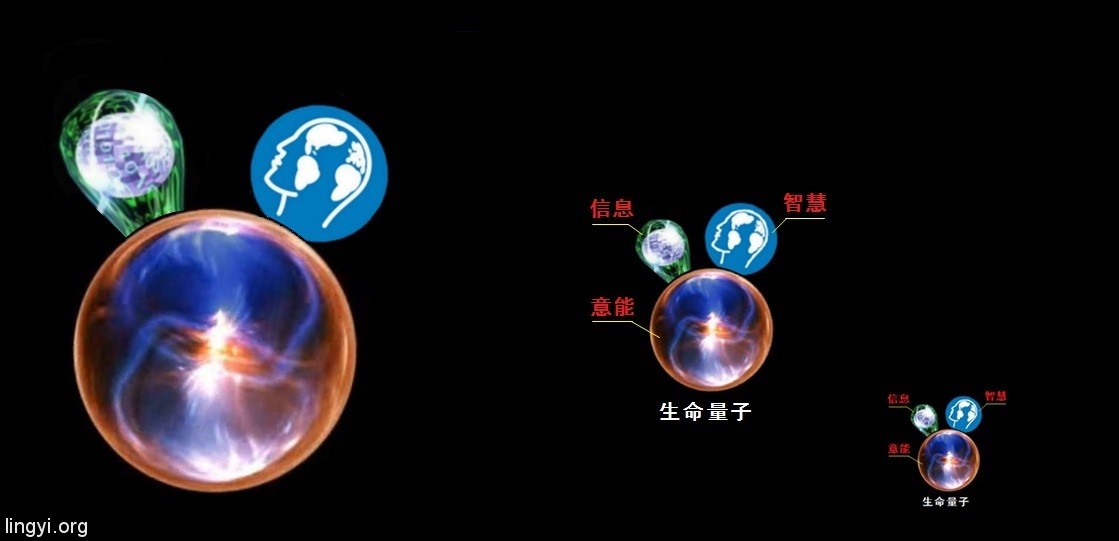 走进场生命世界 第三章 场生命的存在