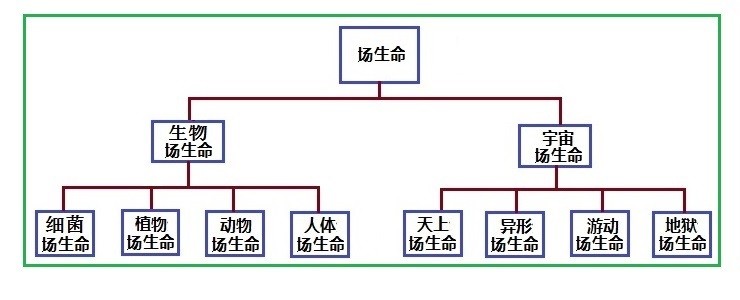 走进场生命世界 第三章 场生命的存在