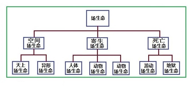 走进场生命世界 第三章 场生命的存在