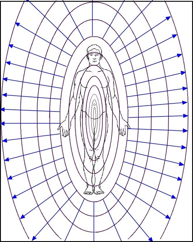 走进场生命世界 第三章 场生命的存在