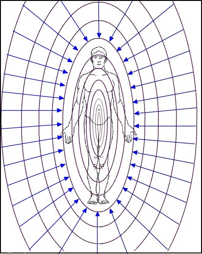 走进场生命世界 第三章 场生命的存在