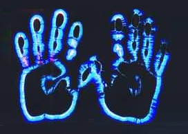 走进场生命世界 第四章 场生命的辉光现象证明场生命存在