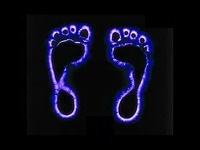 走进场生命世界 第四章 场生命的辉光现象证明场生命存在