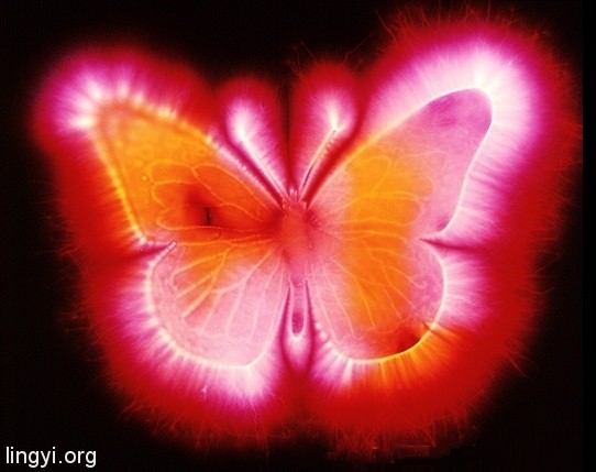 走进场生命世界 第四章 场生命的辉光现象证明场生命存在