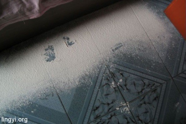 走进场生命世界 第六章 场生命重量的测试