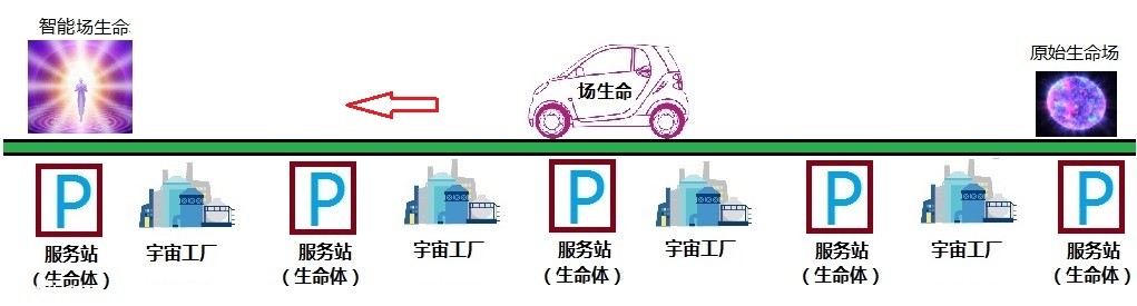 走进场生命世界 第九章  场生命的特性