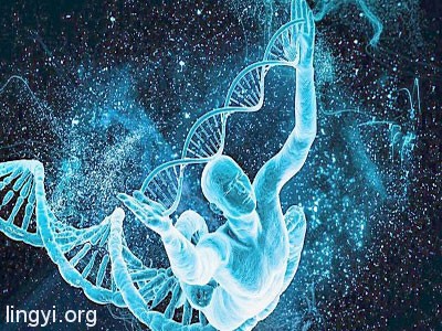 走进场生命世界 第九章  场生命的特性