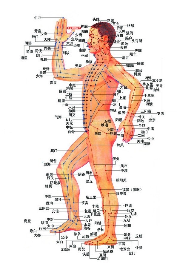 走进场生命世界 第九章  场生命的特性