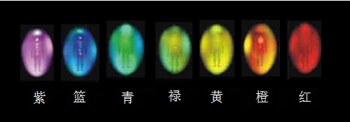 走进场生命世界 第九章  场生命的特性