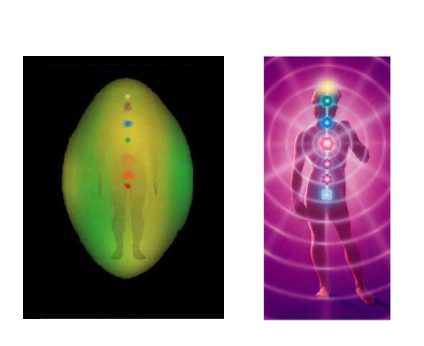 走进场生命世界 第十章  场生命的能量中心