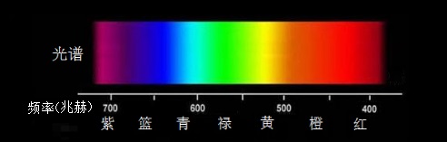 走进场生命世界 第十章  场生命的能量中心