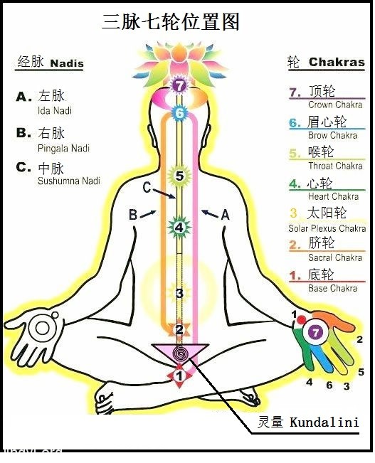 走进场生命世界 第十章  场生命的能量中心