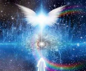 走进场生命世界 第十二章 场生命的进化