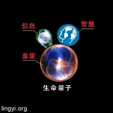 走进场生命世界 第十四章 场生命的遗承（中）