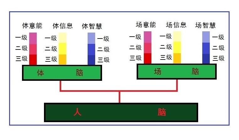 走进场生命世界 第十四章 场生命的遗承（中）