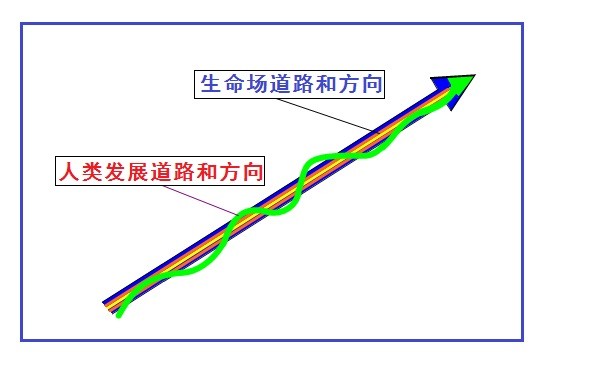 走进场生命世界 第十四章 场生命的遗承(下)