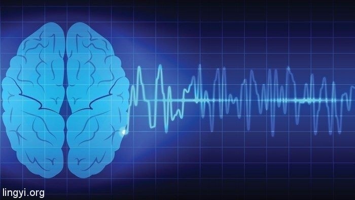 走进场生命世界 第十五章 人类场大脑和体大脑的关系