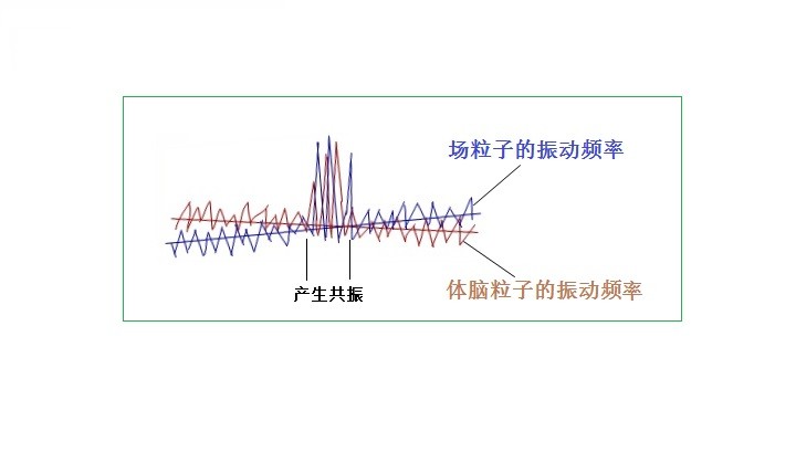 走进场生命世界 第十六章 场生命存在的理论依据
