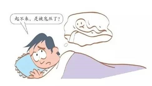 走进场生命世界 第十七章  场生命对人类的作用(上)