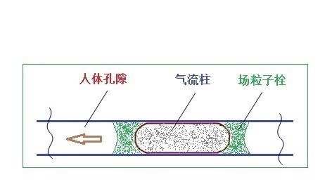 走进场生命世界 第十八章  场生命对人类的作用(下)