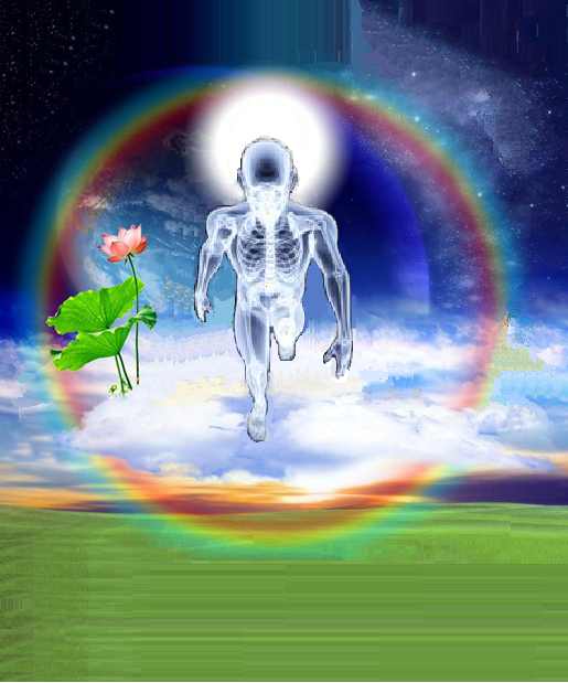 走进场生命世界  第二十三章  场生命的健康检查