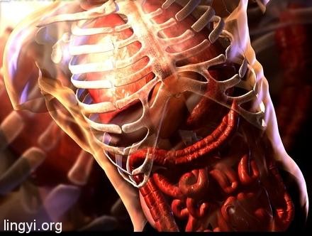 走进场生命世界 第二十四章 揭开气功的真相