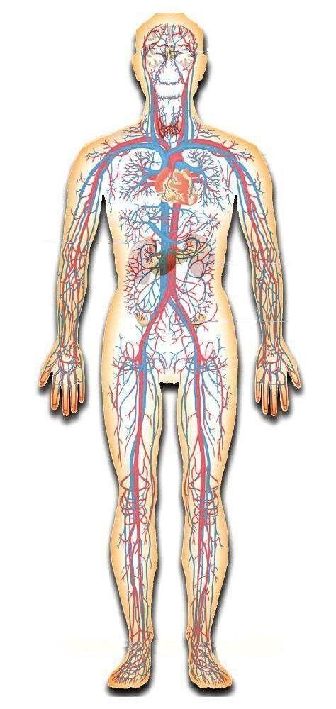 走进场生命世界 第二十四章 揭开气功的真相