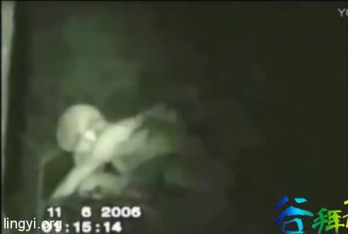 灵异实录:黑暗里的双眼