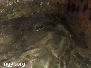 挖挖以前的照片