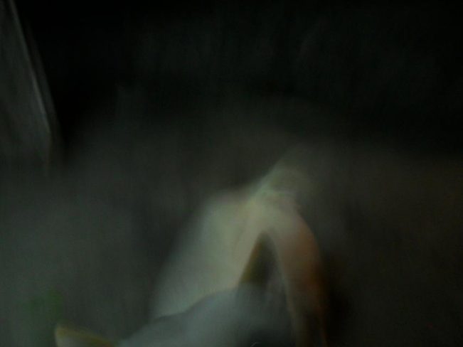 挖挖以前的照片