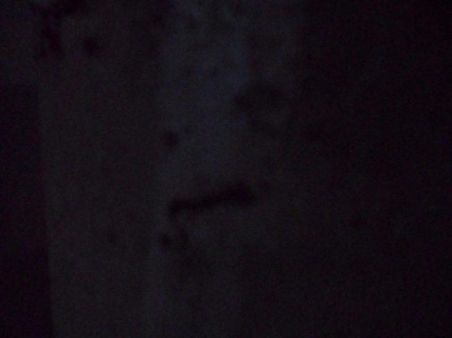 挖挖以前的照片