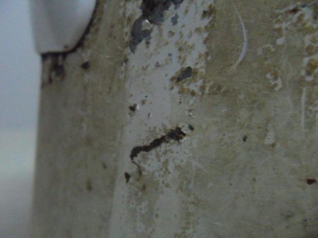 挖挖以前的照片