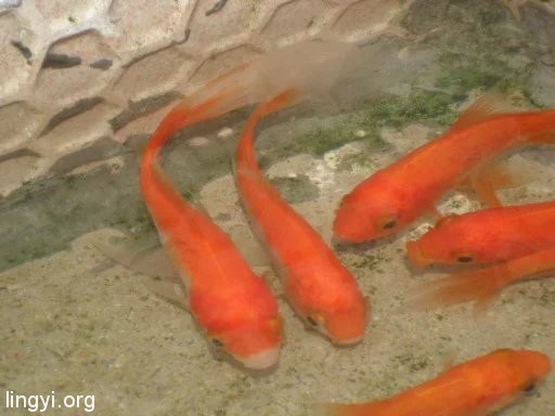 挖挖以前的照片