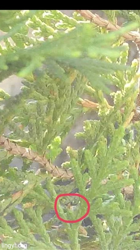 挖挖以前的照片