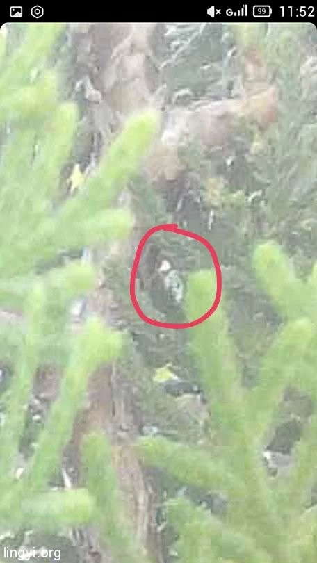 挖挖以前的照片