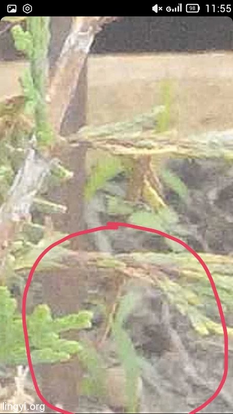 挖挖以前的照片