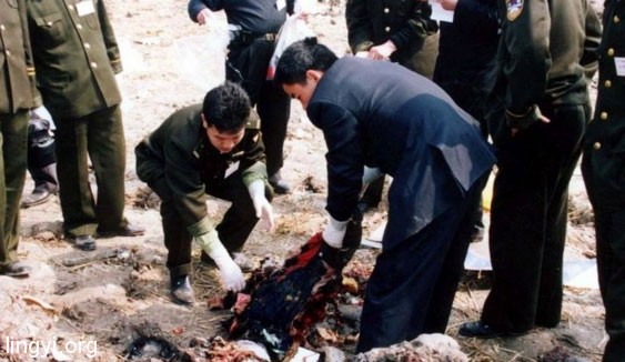 奇异避险——1994年神奇的躲过图-154客机空难