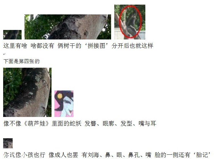 拍灵异照中的“死图”与“活图”