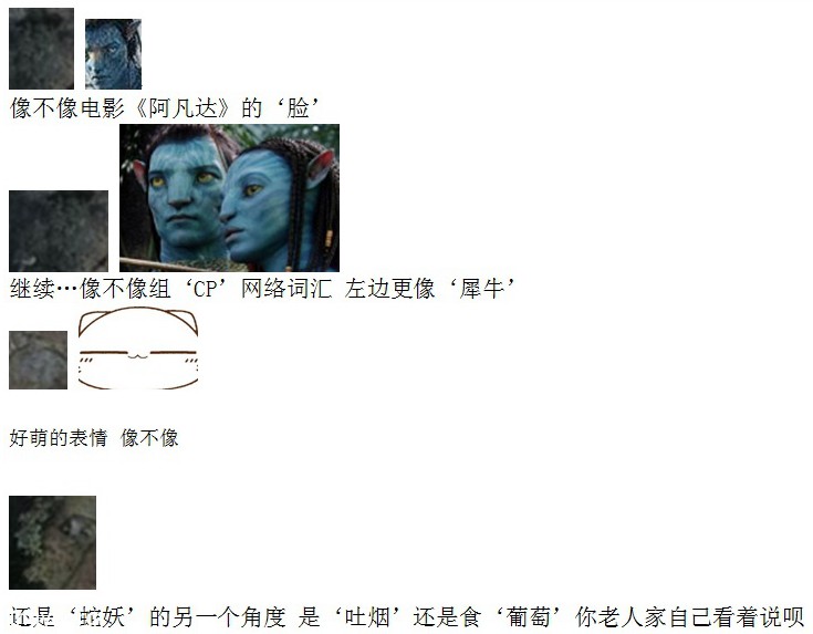拍灵异照中的“死图”与“活图”