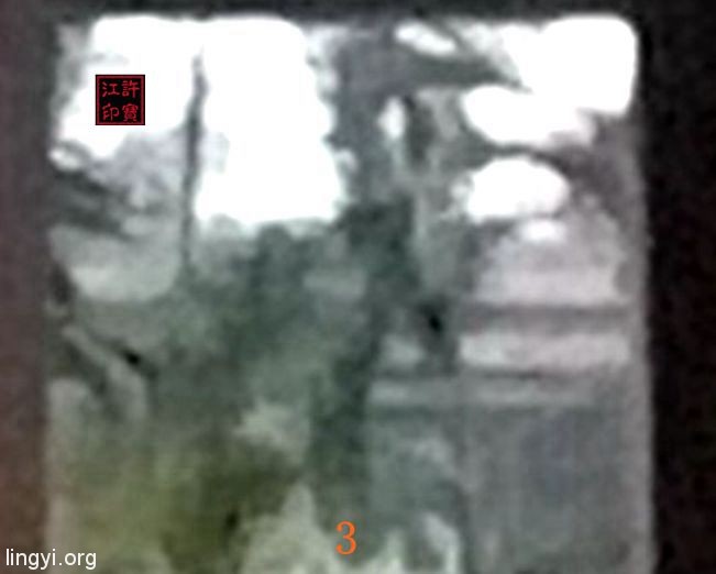 门外奇异的“黑白照片”